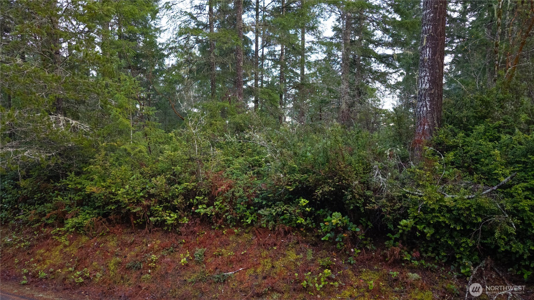 12711 144th Ave NW , Gig Harbor, WA 98329
