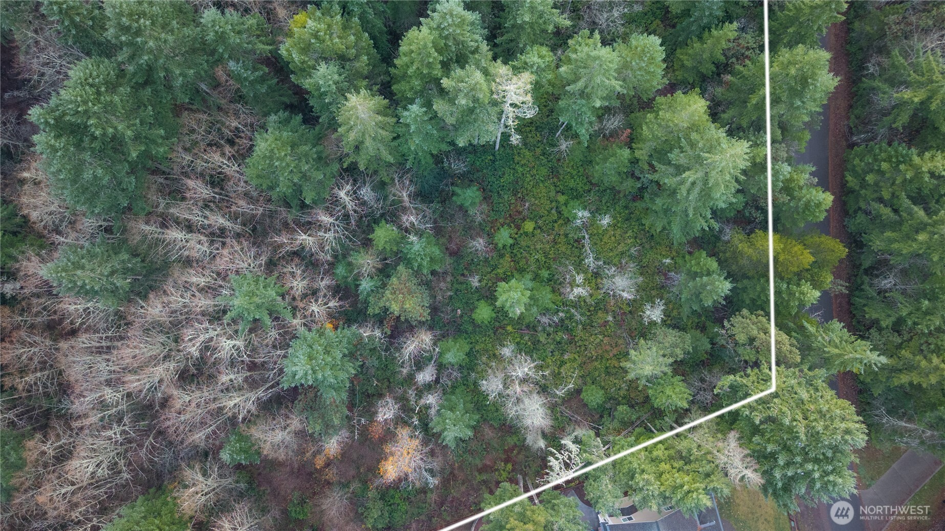 12711 144th Ave NW , Gig Harbor, WA 98329