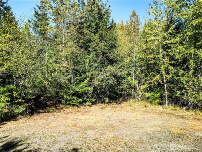 0 Colville Road , Port Angeles, WA 98362 - Photo 16