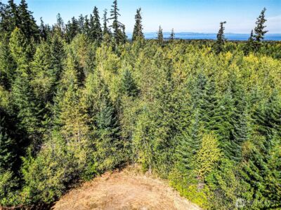 0 Colville Road , Port Angeles, WA 98362 - Photo 18