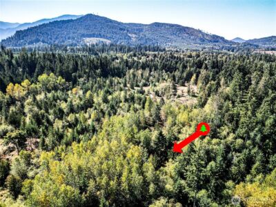0 Colville Road , Port Angeles, WA 98362 - Photo 22