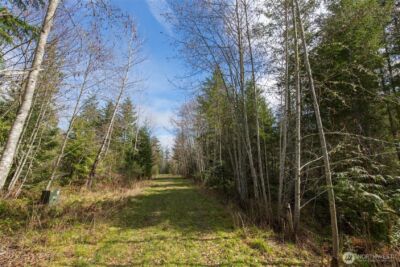 0 Colville Road , Port Angeles, WA 98362 - Photo 5