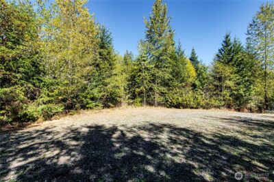 0 Colville Road , Port Angeles, WA 98362 - Photo 10