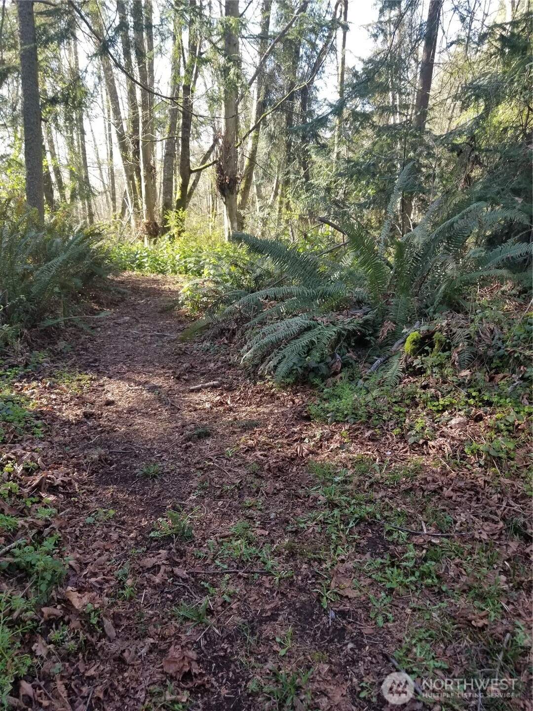 4193 S Camano Drive , Camano Island, WA 98282