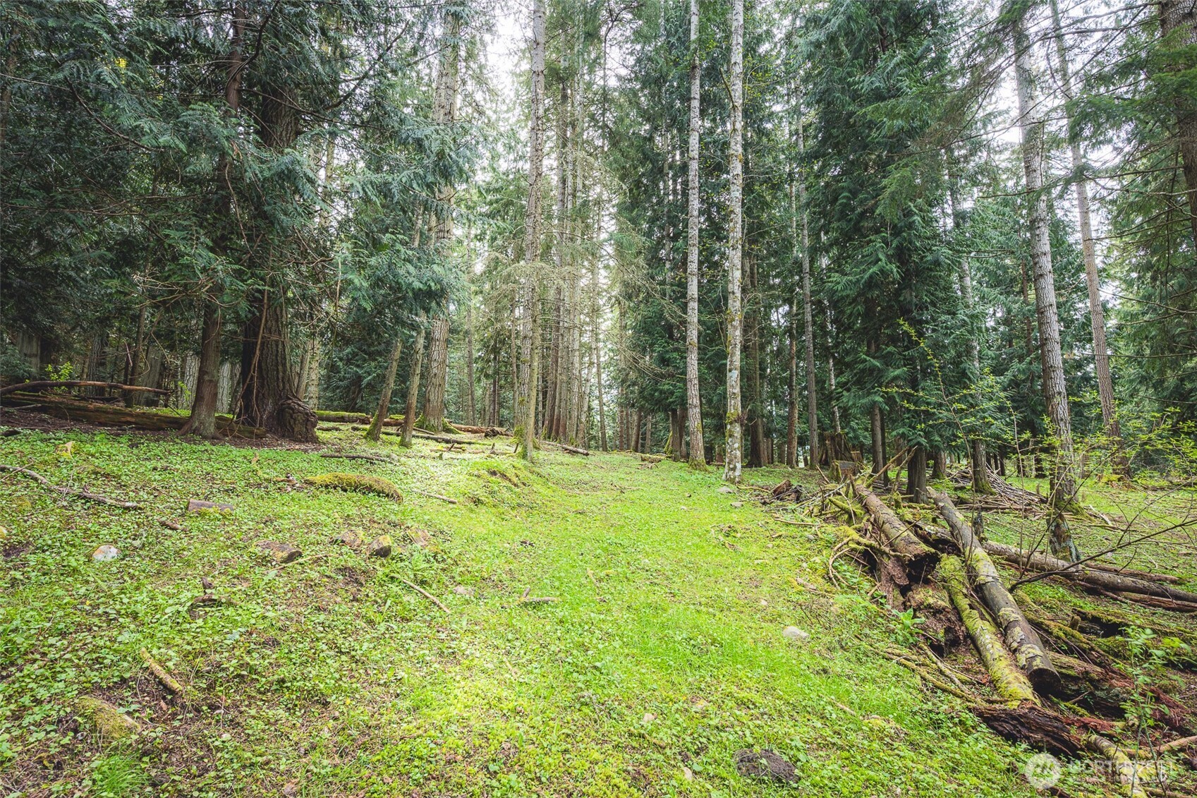 280 Oxenford Road , Port Angeles, WA 98363