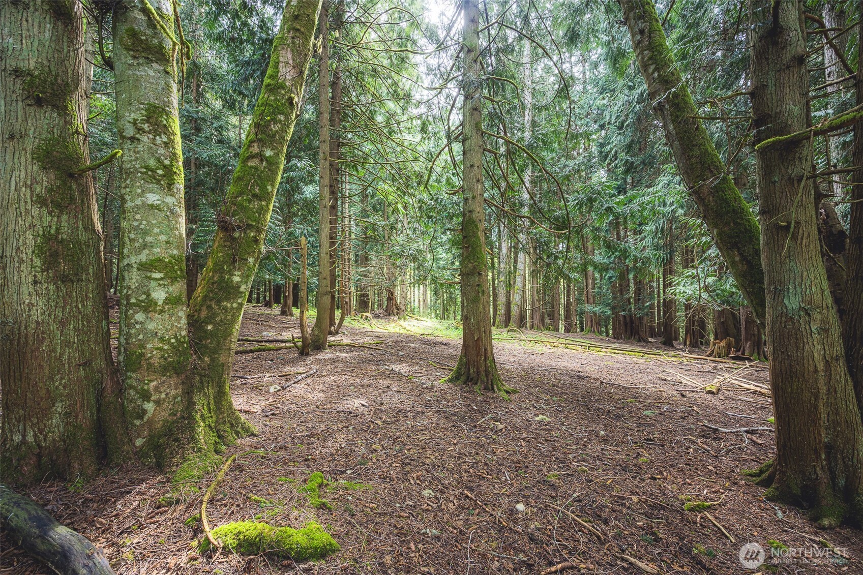 280 Oxenford Road , Port Angeles, WA 98363
