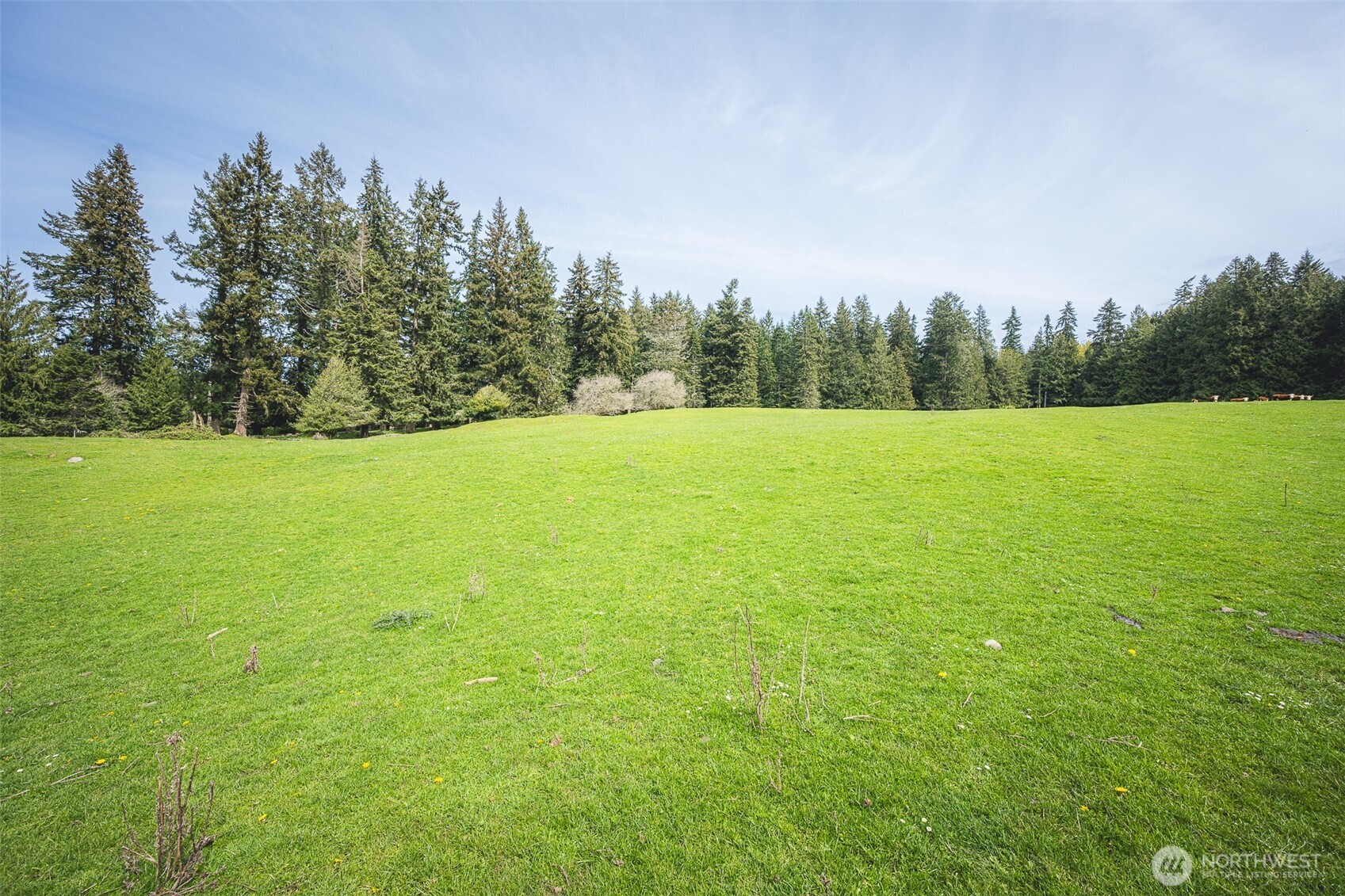 280 Oxenford Road , Port Angeles, WA 98363