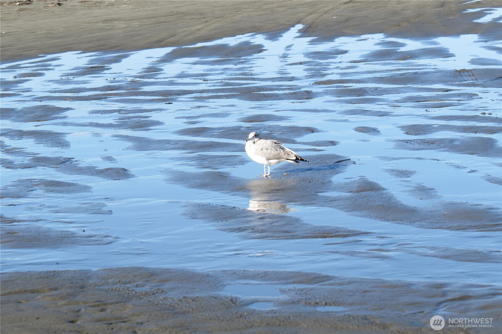 319 Sand Dune Avenue NW, Ocean Shores, WA 98569