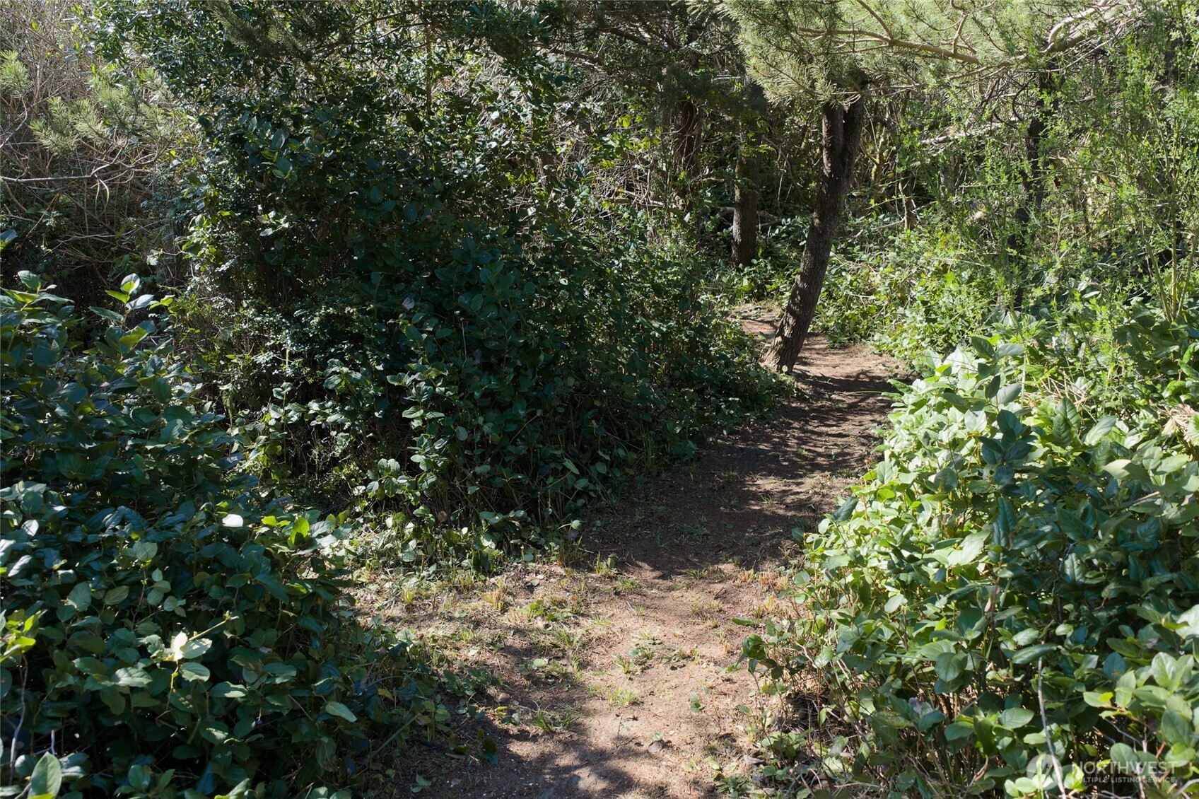 319 Sand Dune Avenue NW, Ocean Shores, WA 98569