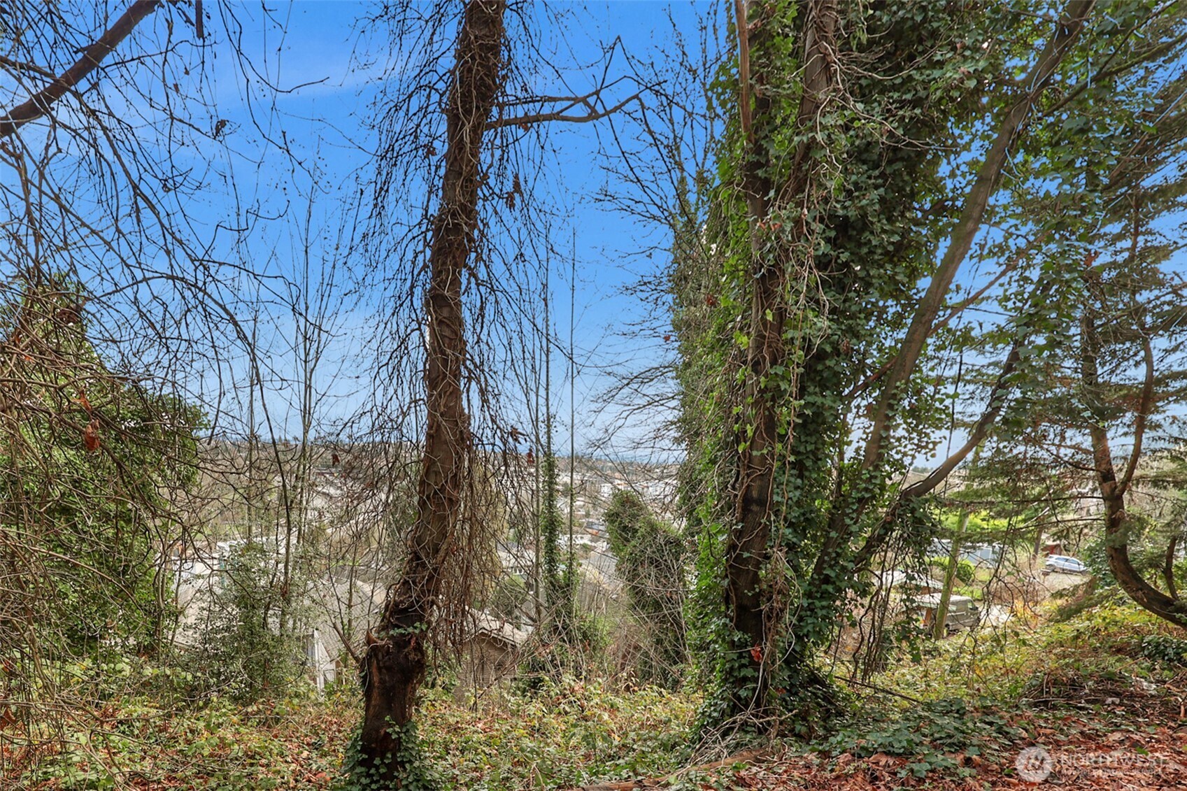 1312 15th Avenue S, Seattle, WA 98144-3427