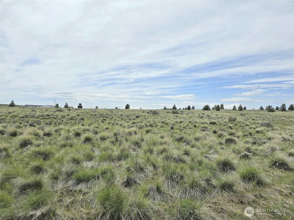 149 Middle Rd , Bickleton, WA 99322