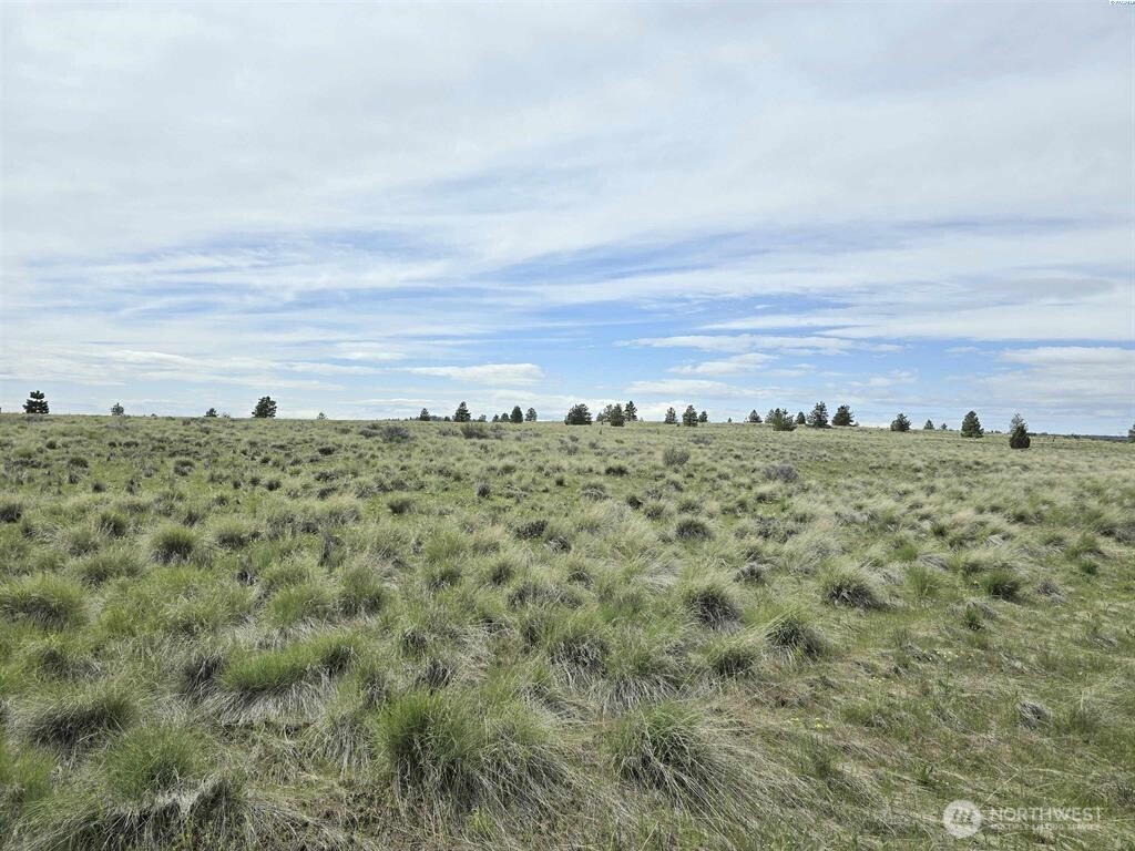 149 Middle Rd , Bickleton, WA 99322