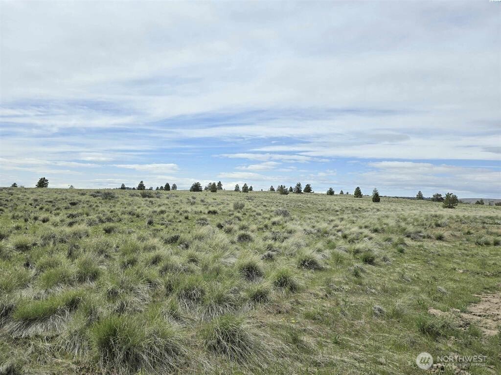149 Middle Rd , Bickleton, WA 99322