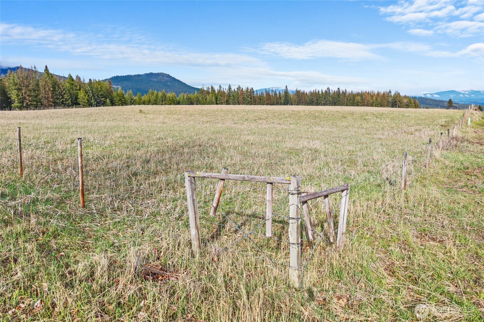 988 Orin Rice Road , Colville, WA 99114