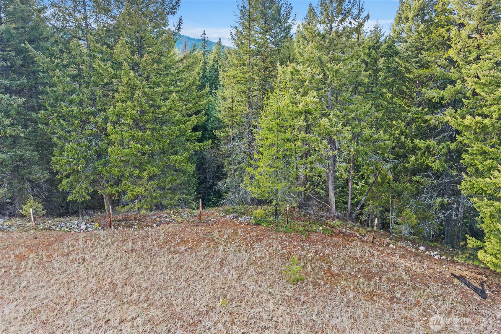 988 Orin Rice Road , Colville, WA 99114