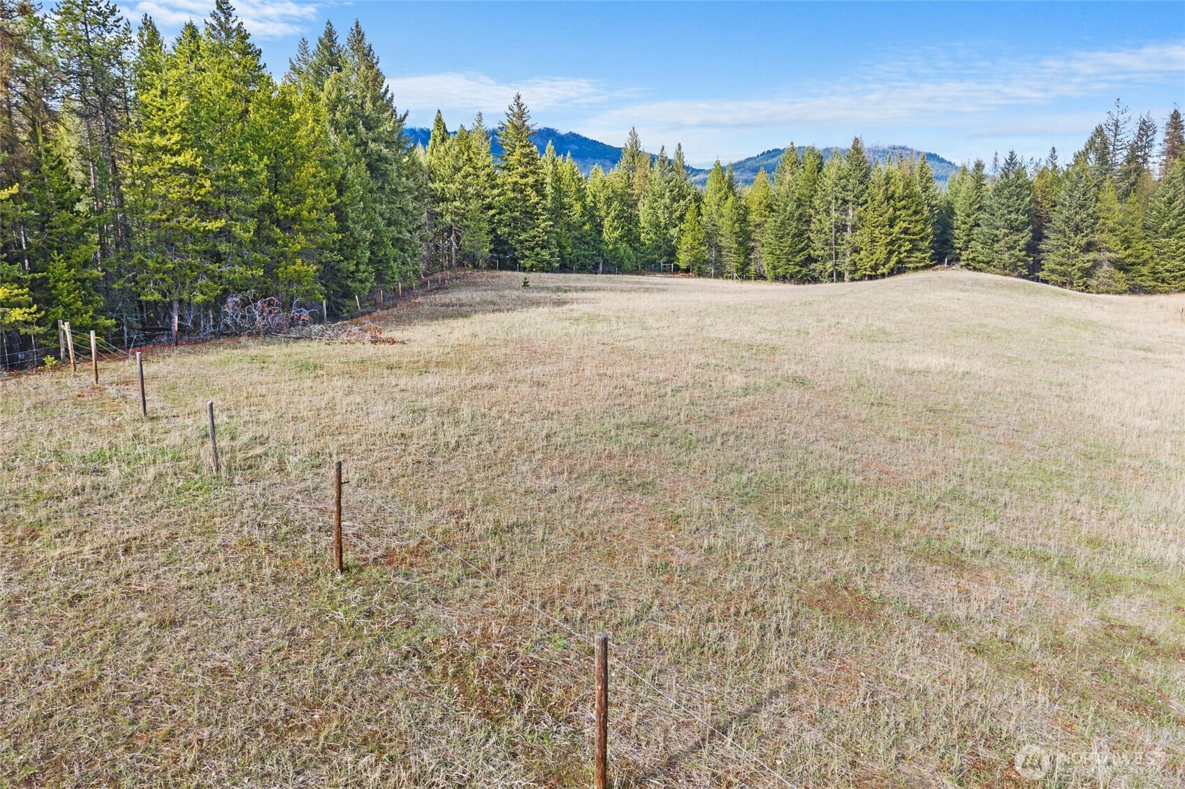 988 Orin Rice Road , Colville, WA 99114