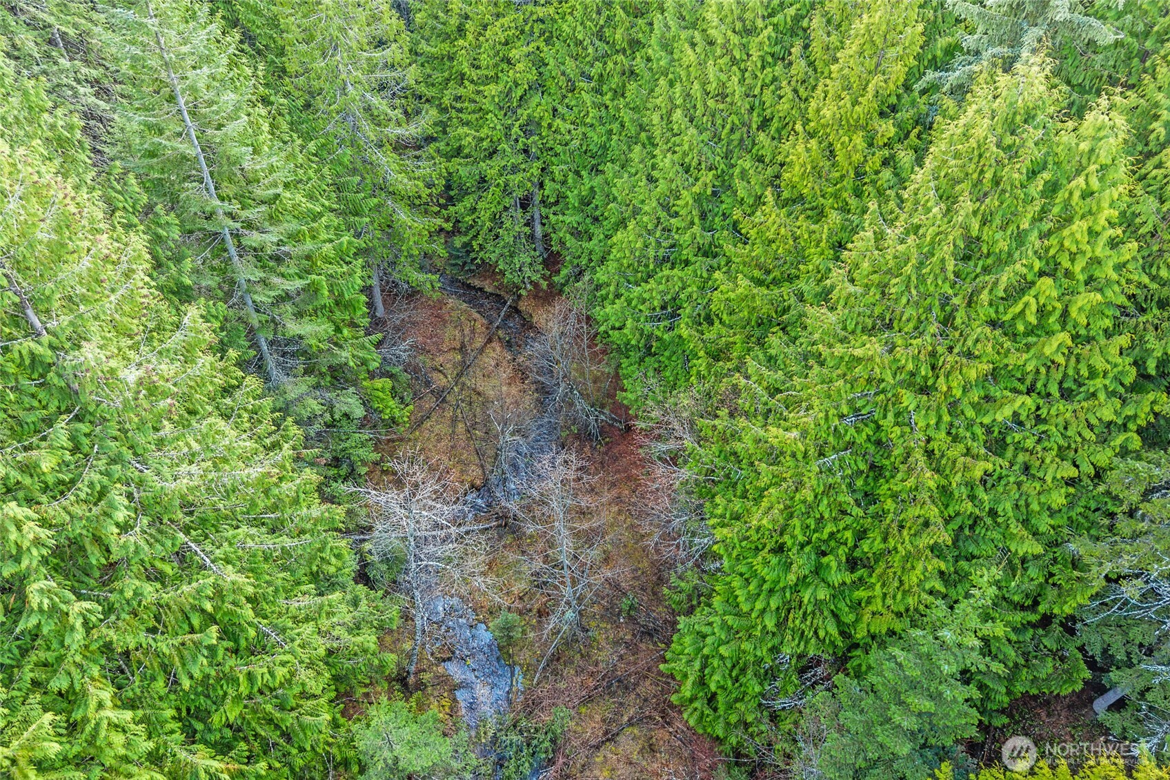 988 Orin Rice Road , Colville, WA 99114