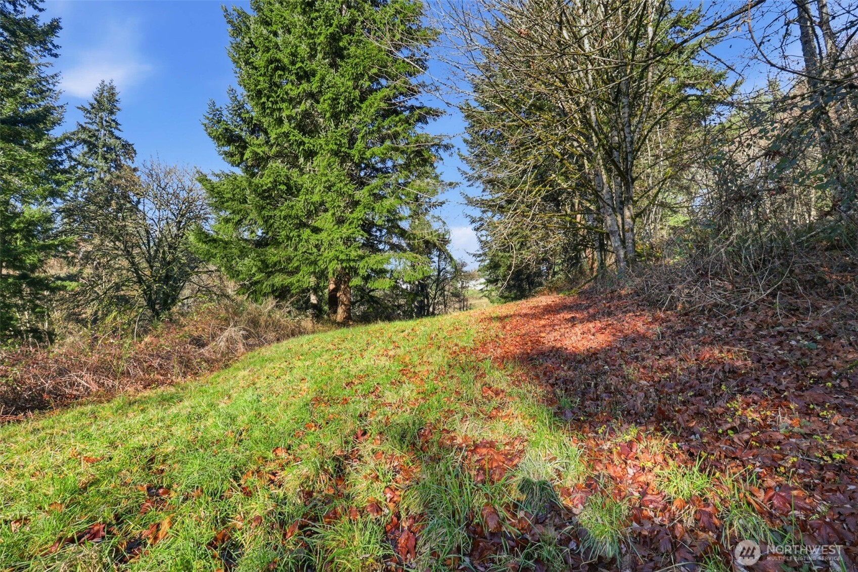 0 Feather Ridge Drive , Kalama, WA 98625