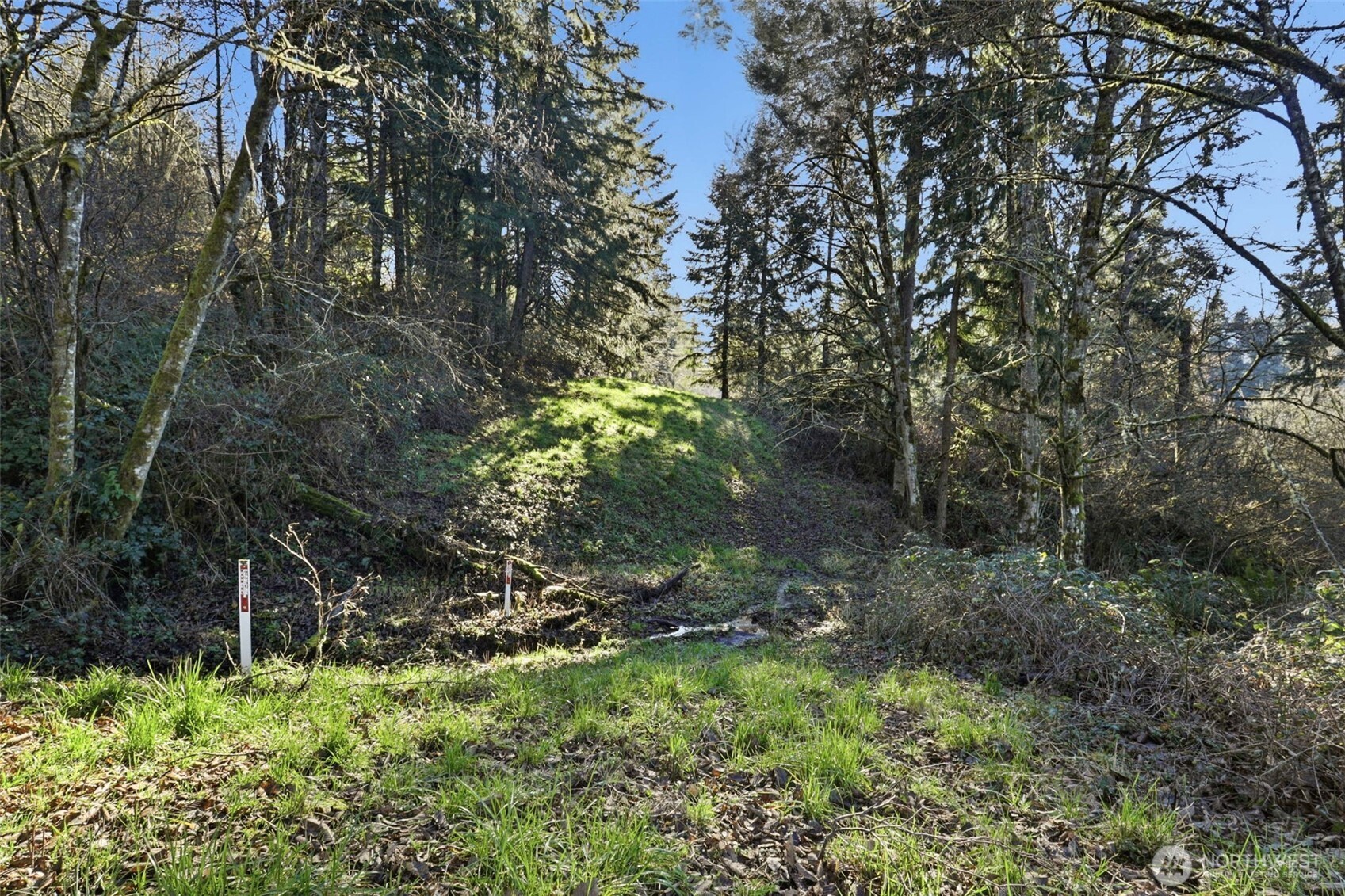 0 Feather Ridge Drive , Kalama, WA 98625