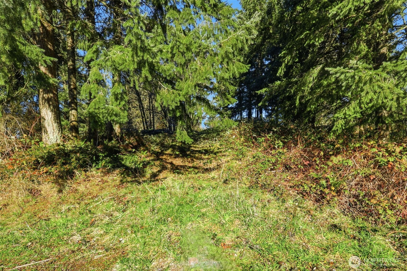 0 Feather Ridge Drive , Kalama, WA 98625