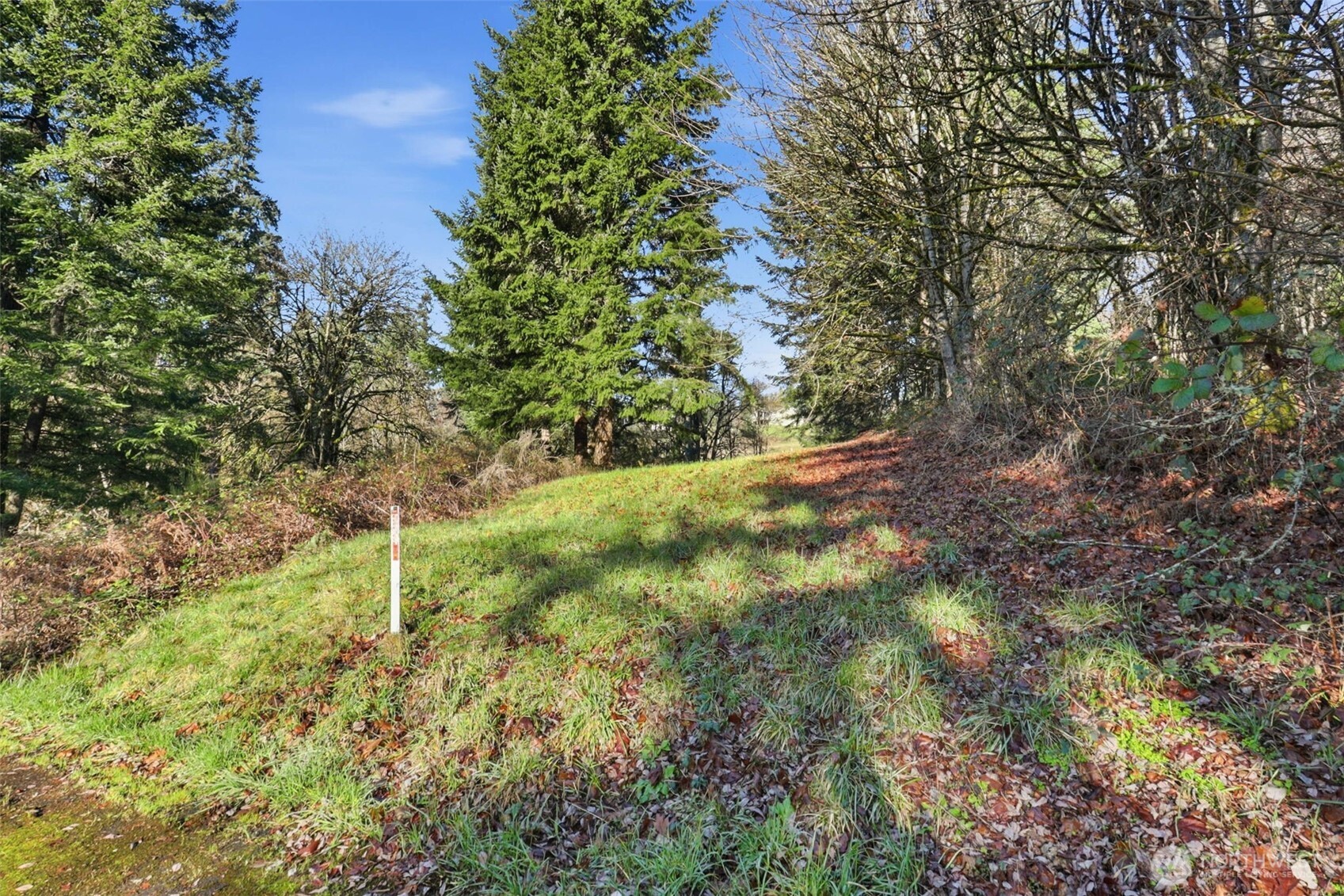 0 Feather Ridge Drive , Kalama, WA 98625
