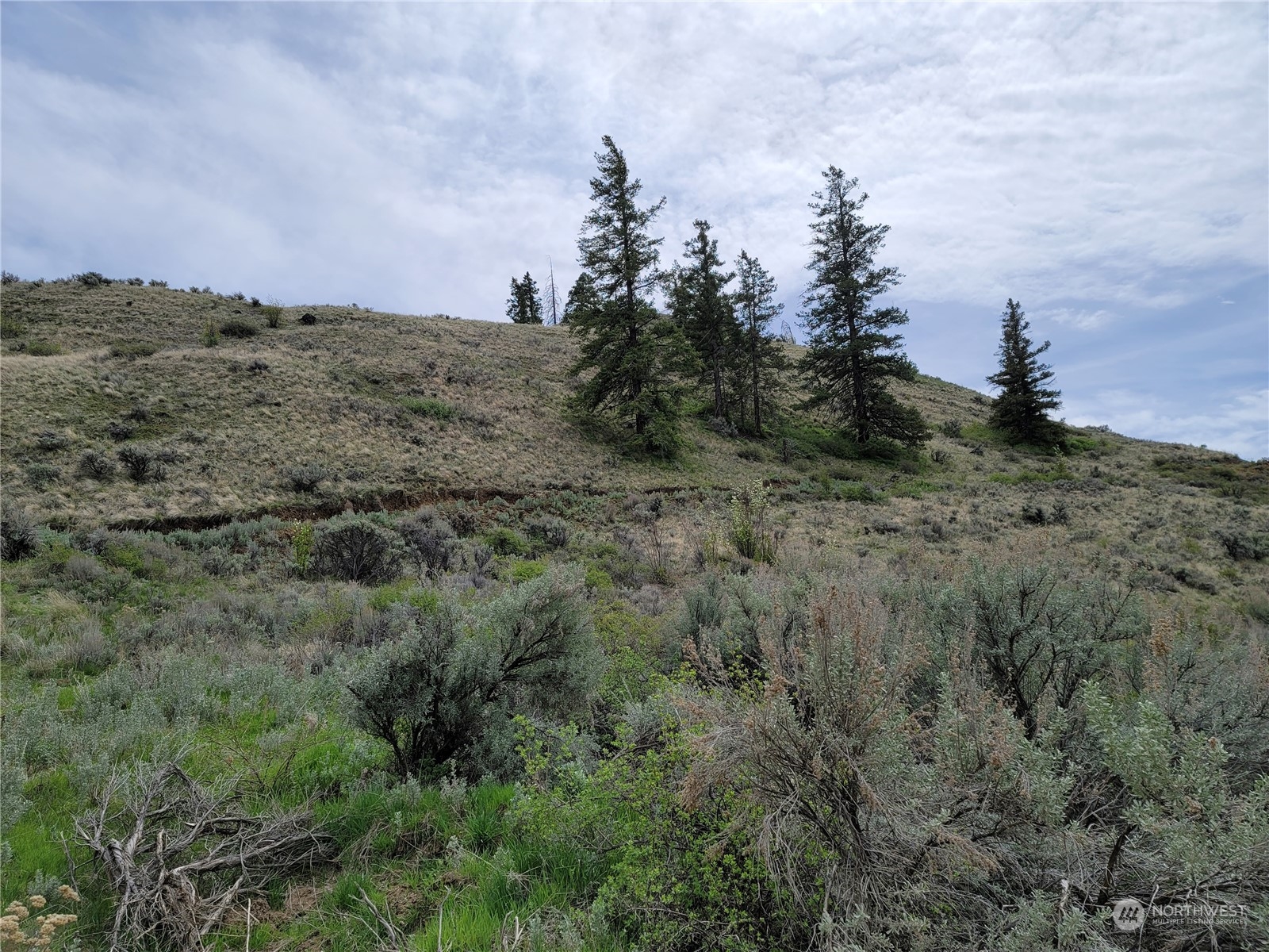 98 Tyee View Loop RD , Orondo, WA 98843