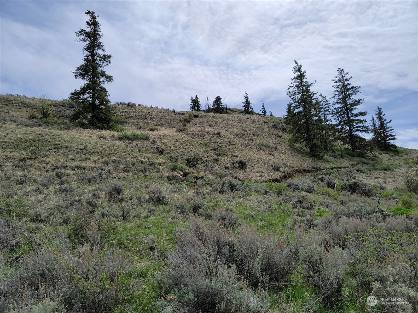 98 Tyee View Loop RD , Orondo, WA 98843