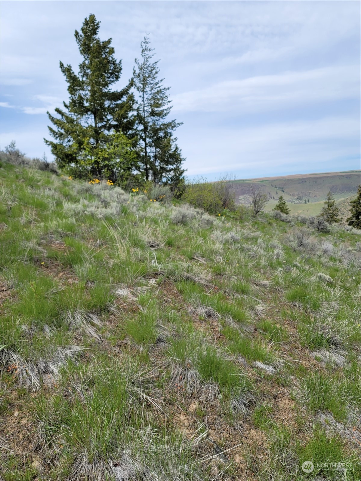 98 Tyee View Loop RD , Orondo, WA 98843
