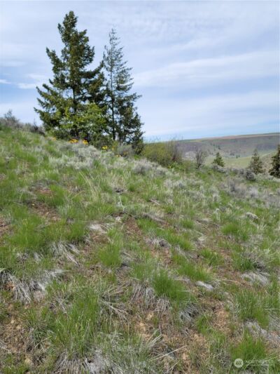 98 Tyee View Loop RD , Orondo, WA 98843 - Photo 12