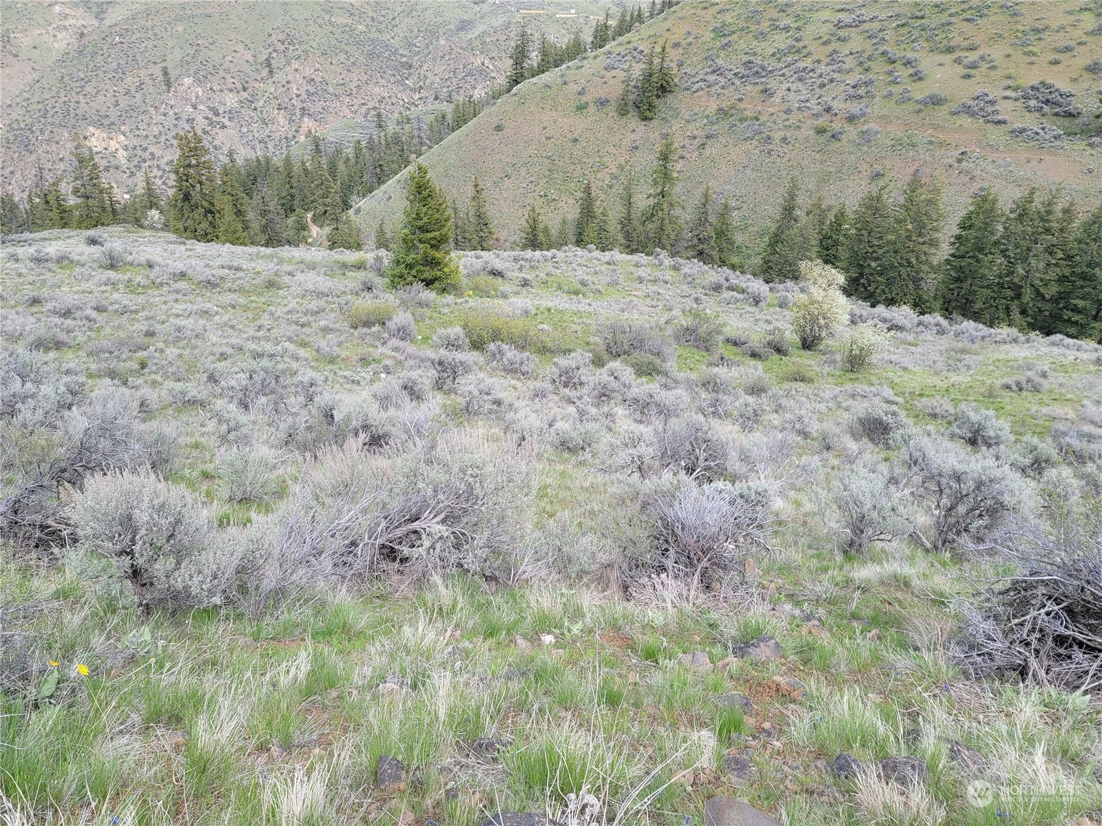 98 Tyee View Loop RD , Orondo, WA 98843
