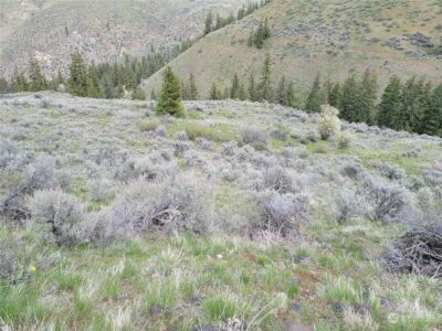 98 Tyee View Loop RD , Orondo, WA 98843 - Photo 13