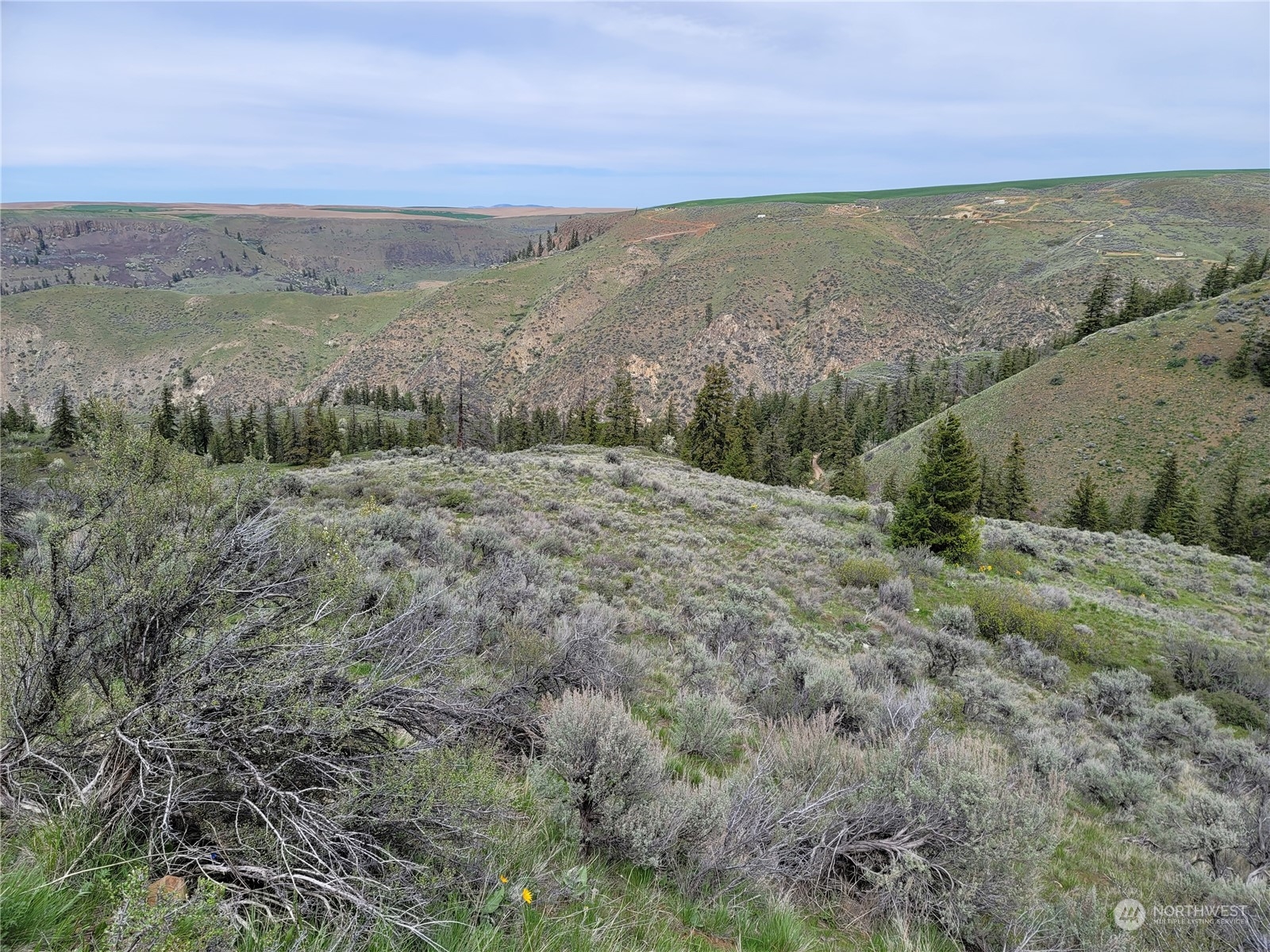 98 Tyee View Loop RD , Orondo, WA 98843