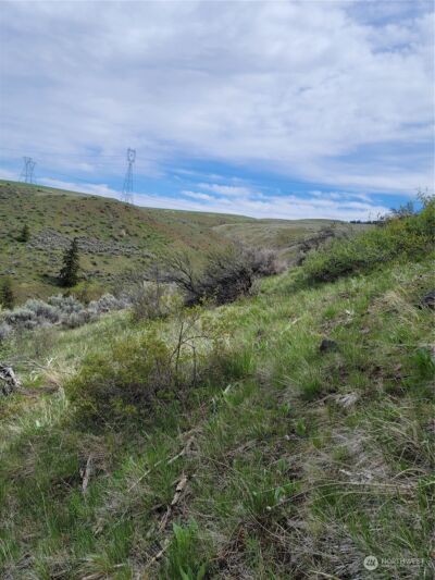 98 Tyee View Loop RD , Orondo, WA 98843 - Photo 15