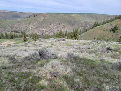 98 Tyee View Loop RD , Orondo, WA 98843 - Photo 16
