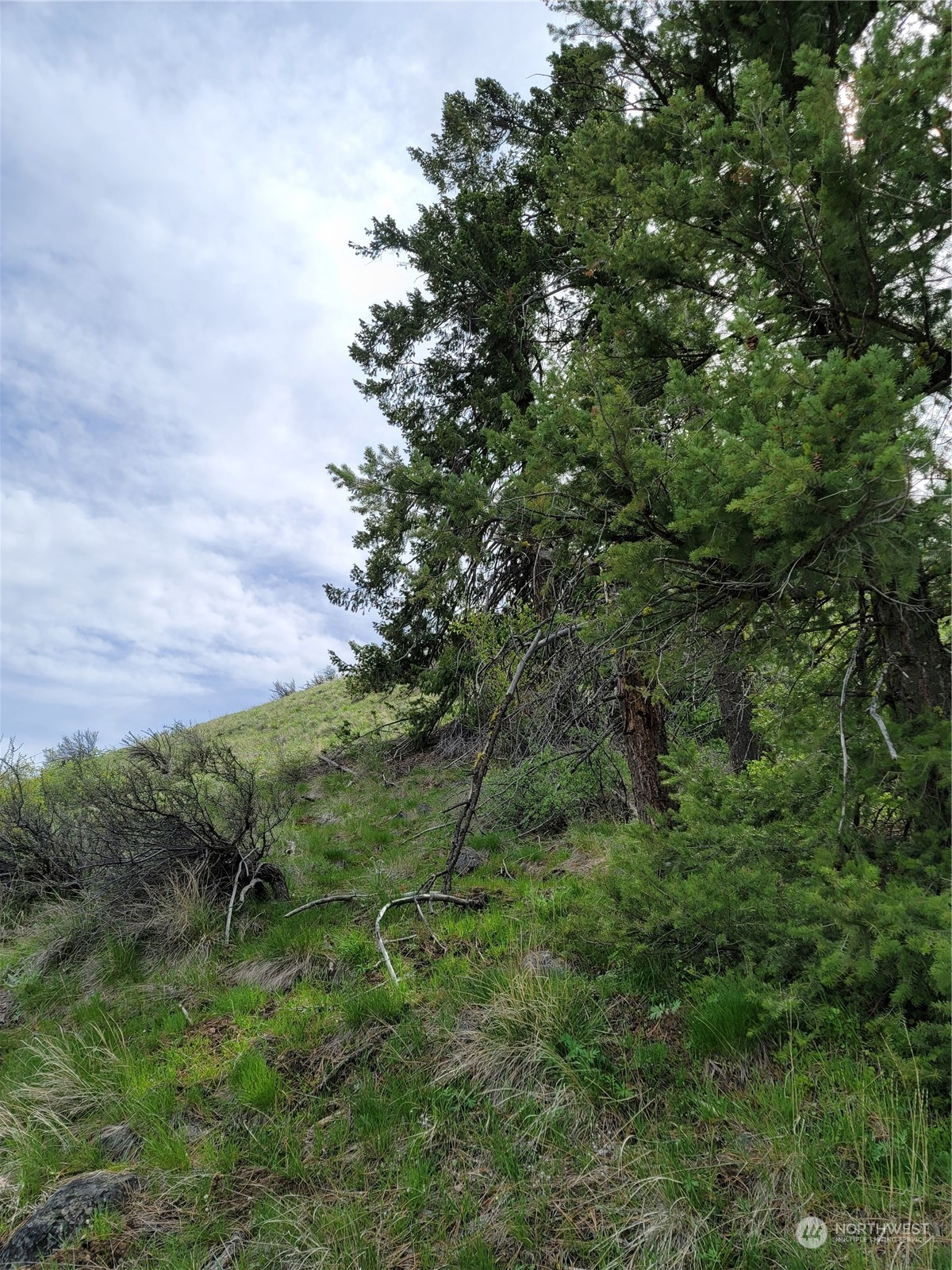98 Tyee View Loop RD , Orondo, WA 98843