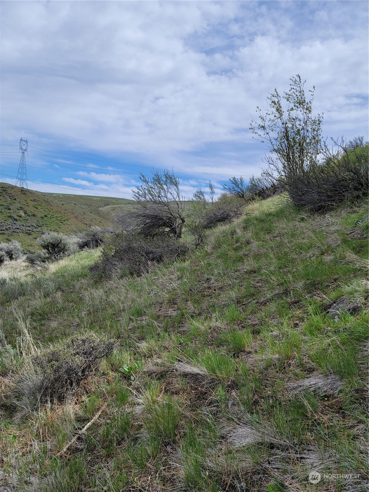 98 Tyee View Loop RD , Orondo, WA 98843