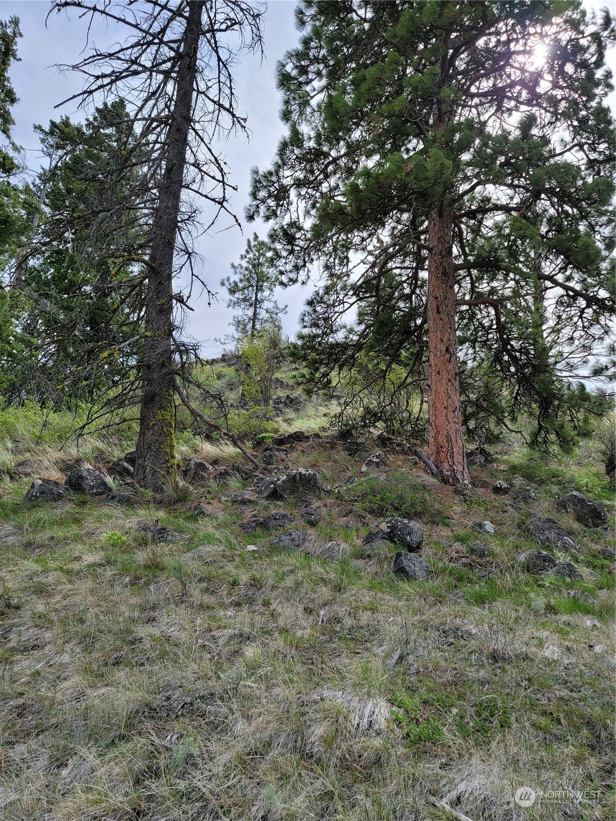 98 Tyee View Loop RD , Orondo, WA 98843