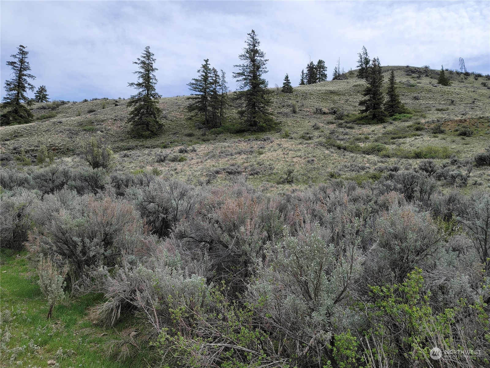 98 Tyee View Loop RD , Orondo, WA 98843