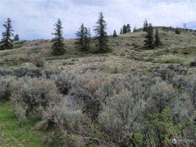 98 Tyee View Loop RD , Orondo, WA 98843 - Photo 3