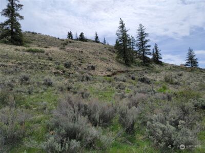 98 Tyee View Loop RD , Orondo, WA 98843 - Photo 4