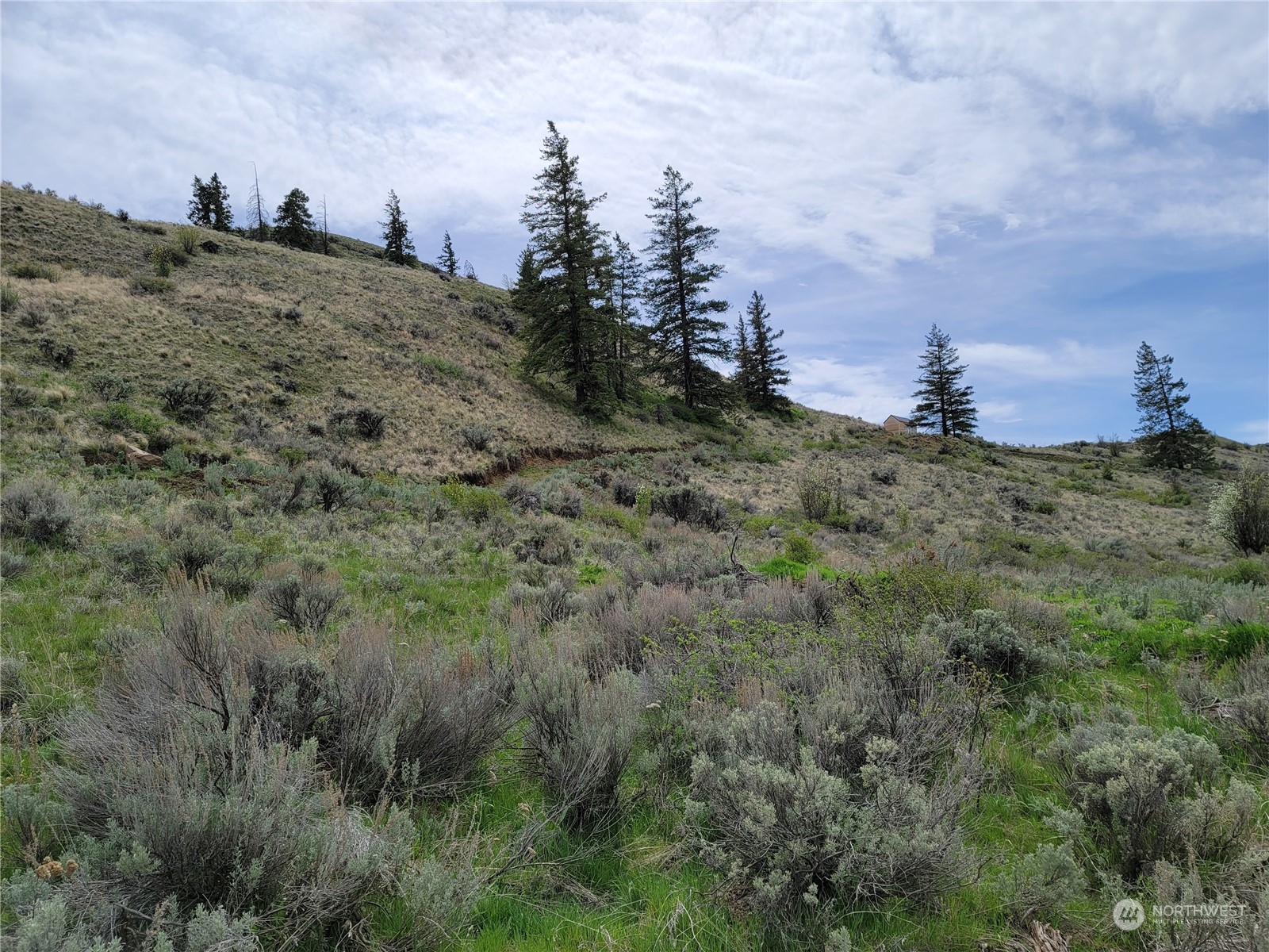 98 Tyee View Loop RD , Orondo, WA 98843