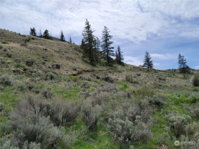 98 Tyee View Loop RD , Orondo, WA 98843 - Photo 5
