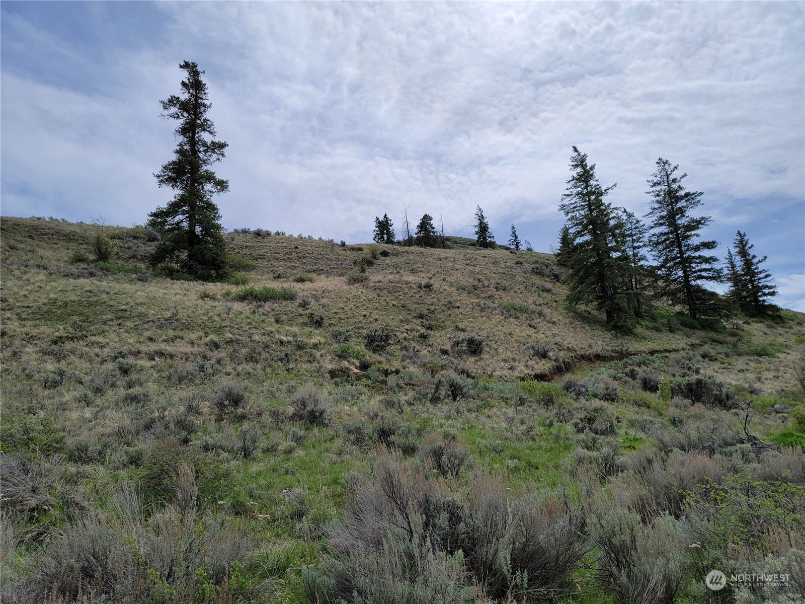 98 Tyee View Loop RD , Orondo, WA 98843