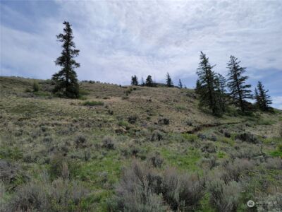 98 Tyee View Loop RD , Orondo, WA 98843 - Photo 6