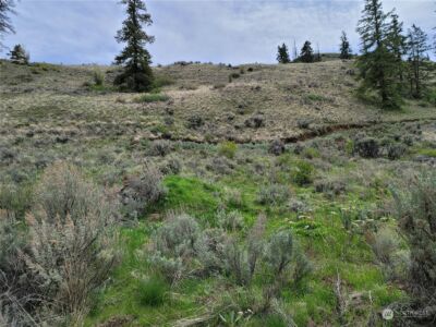 98 Tyee View Loop RD , Orondo, WA 98843 - Photo 7