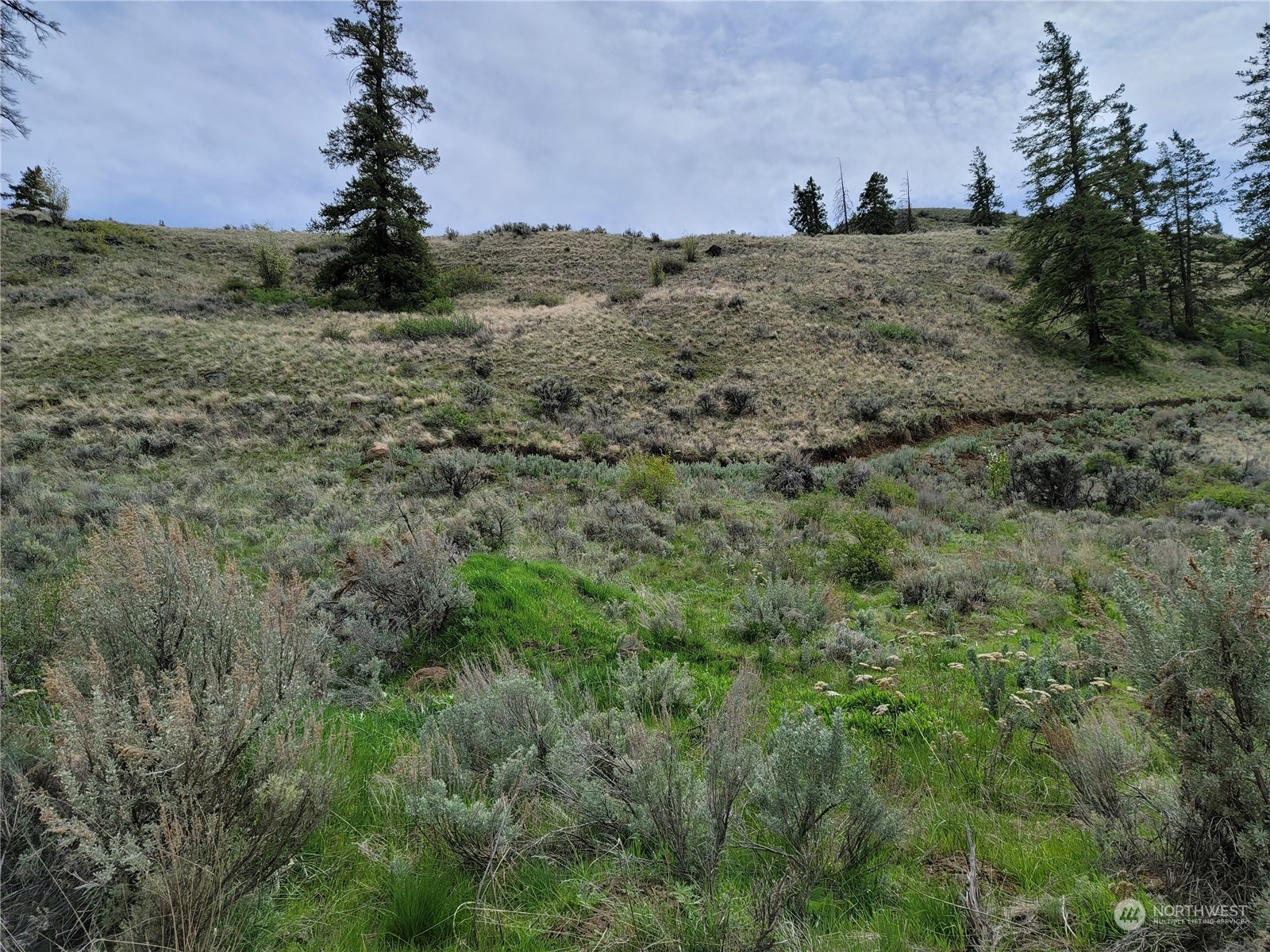 98 Tyee View Loop RD , Orondo, WA 98843
