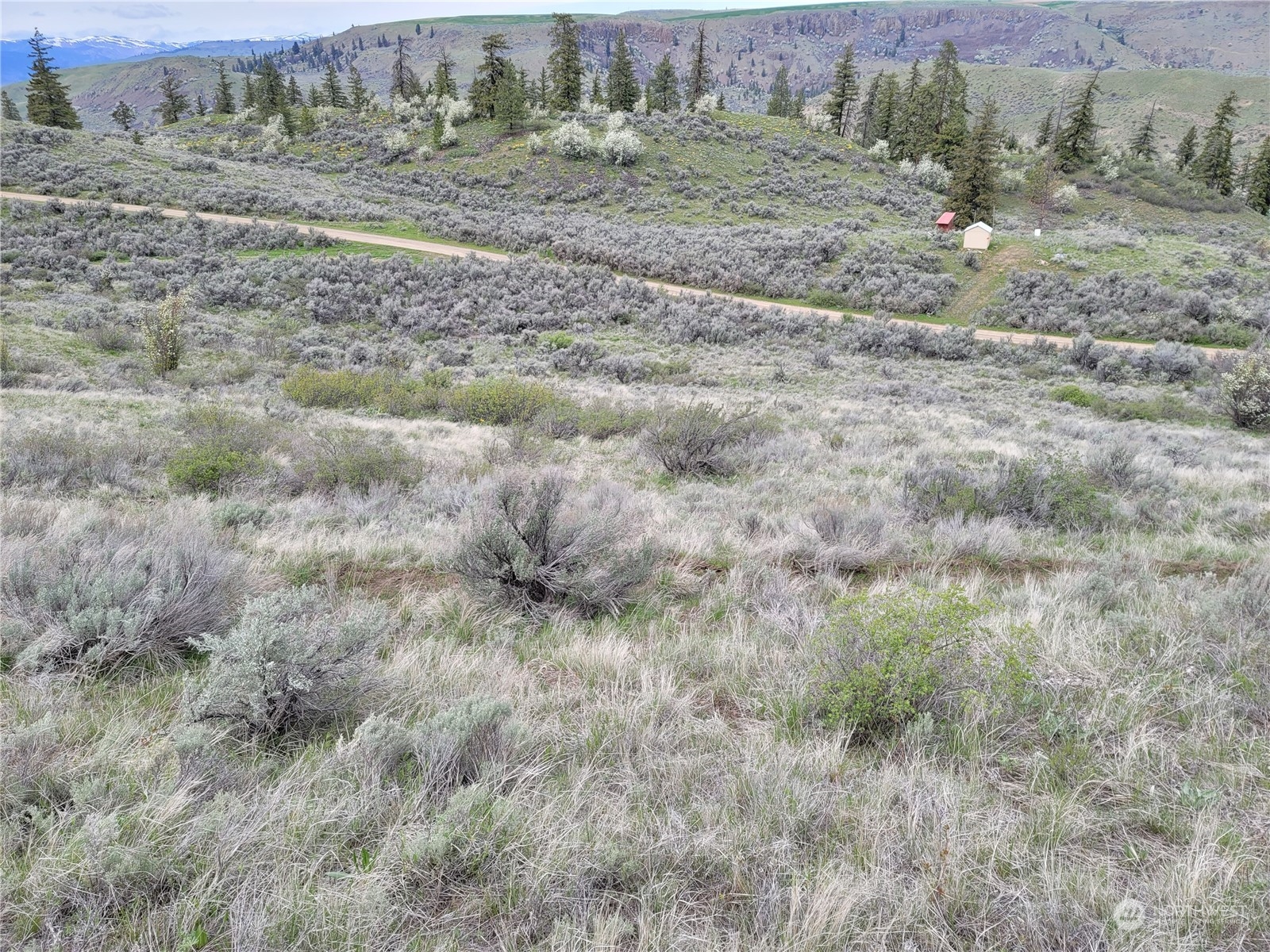 98 Tyee View Loop RD , Orondo, WA 98843