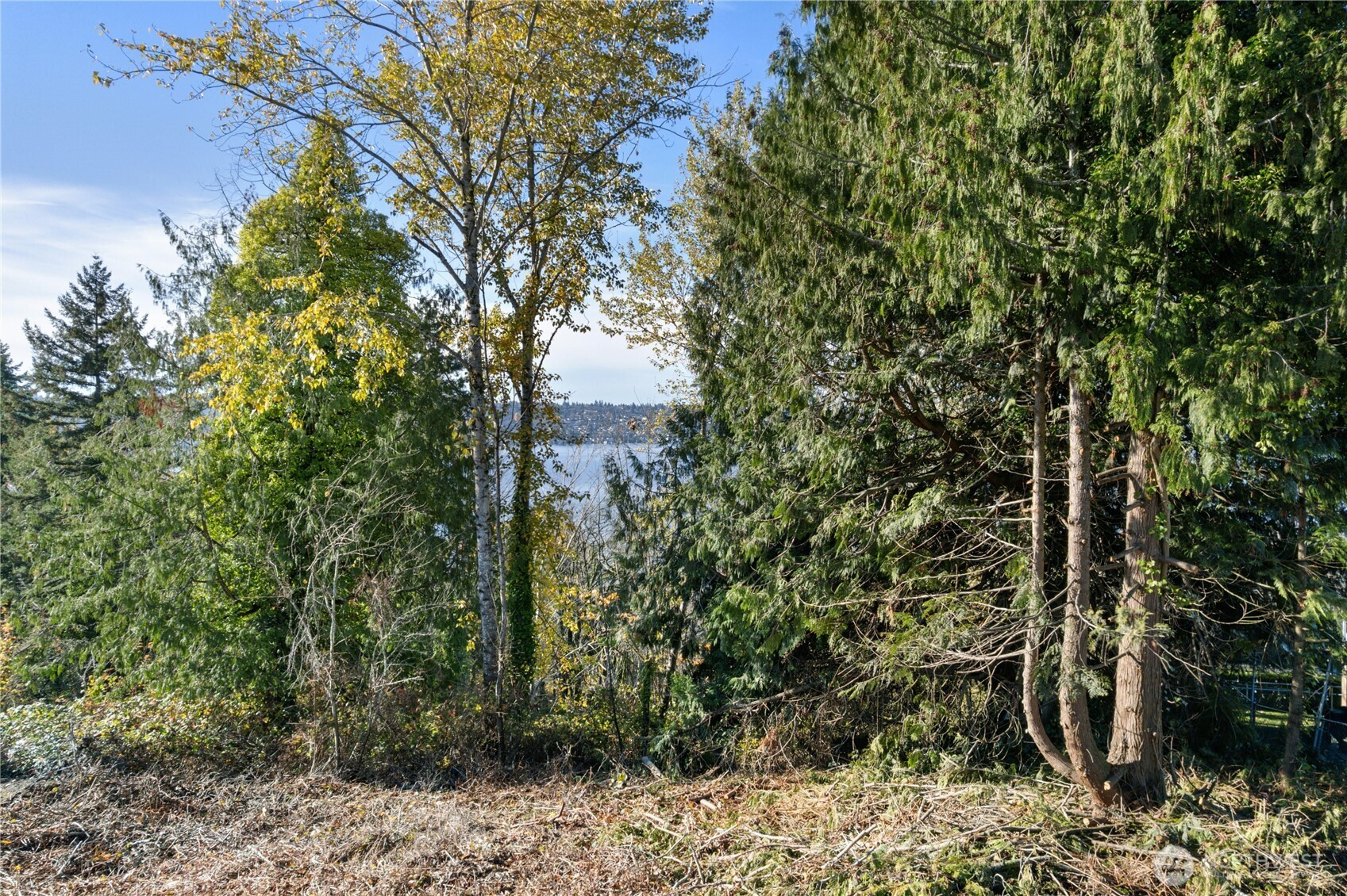 1409 N 24th Street , Renton, WA 98056