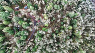 0 00381300002900 , Gold Bar, WA 98251 - Photo 14