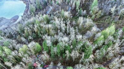 0 00381300002900 , Gold Bar, WA 98251 - Photo 15